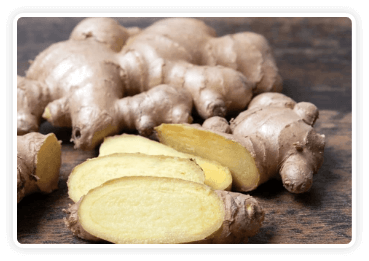 Himalayan Ginger