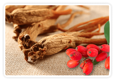 Berberine and Ginseng